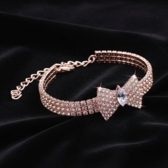 Collier chien | The Great Gatsby - Jamais sans mon chien