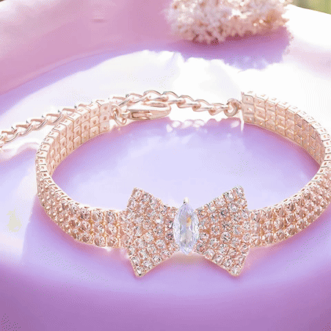 Collier chien | The Great Gatsby - Jamais sans mon chien