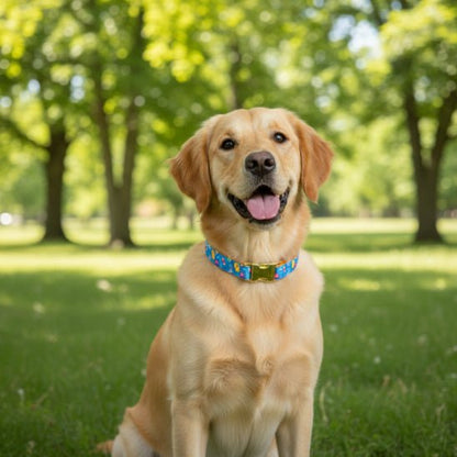 Collier chiot | Happy - Jamais sans mon chien