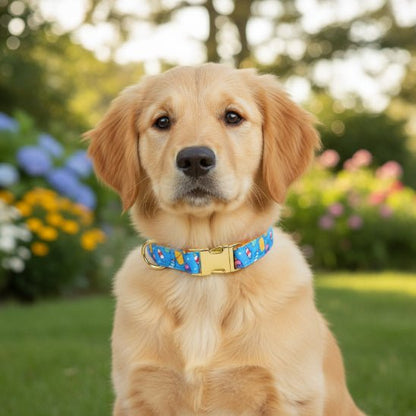 Collier chiot | Happy - Jamais sans mon chien