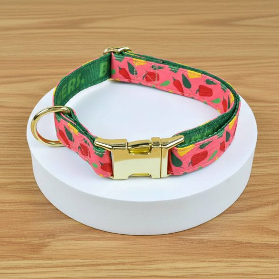 Collier chiot | Happy - Jamais sans mon chien