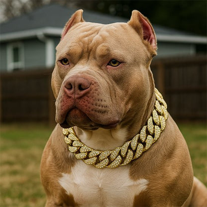 Collier pour Chien | Bling King - 4