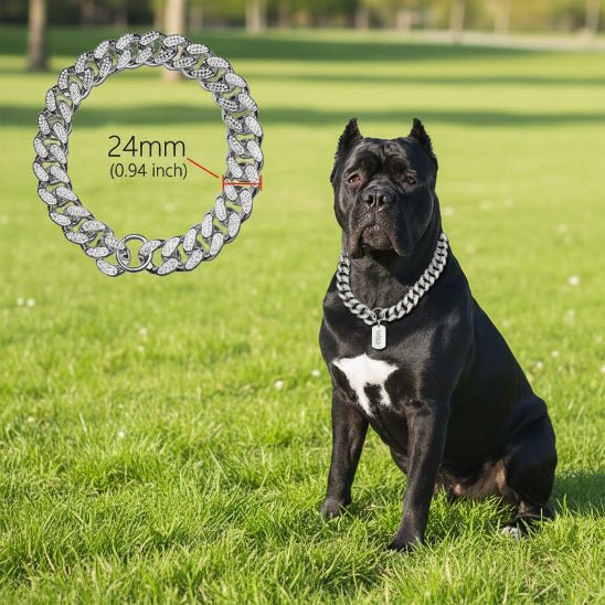 Collier pour Chien | Bling King - 8