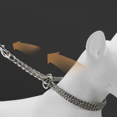 Collier Chien | Élégance Durable - Jamais sans mon chien