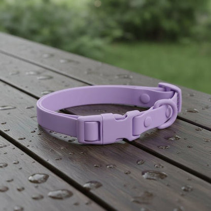 Collier chien | Aquarius - Jamais sans mon chien