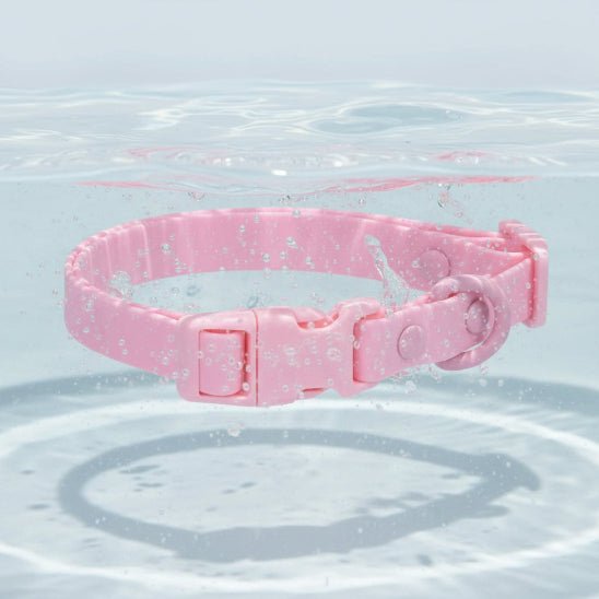 Collier chien | Aquarius - Jamais sans mon chien