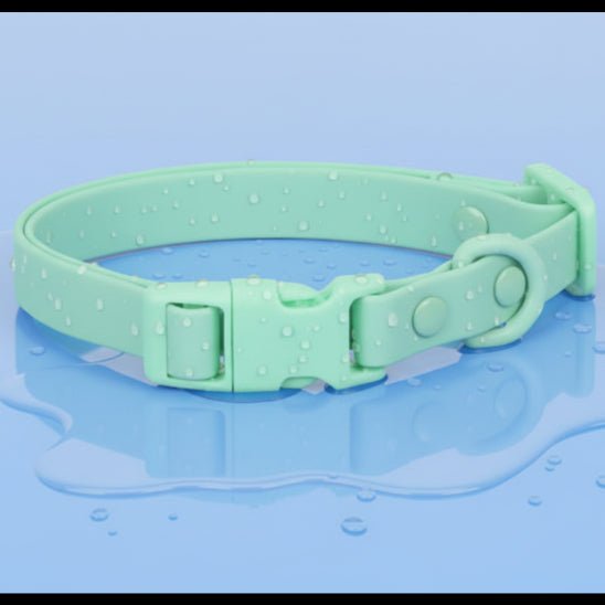 Collier chien | Aquarius - Jamais sans mon chien