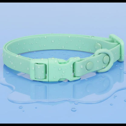 Collier chien | Aquarius - Jamais sans mon chien