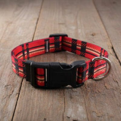 Collier Chien | Confort Sécurisé - Jamais sans mon chien