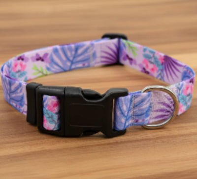 Collier Chien | Confort Sécurisé - Jamais sans mon chien