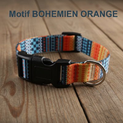 Collier Chien | Confort Sécurisé - Jamais sans mon chien
