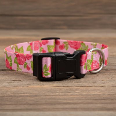 Collier Chien | Confort Sécurisé - Jamais sans mon chien
