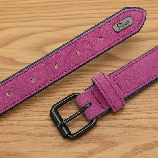 Collier chien / Confort Velouté - Jamais sans mon chien