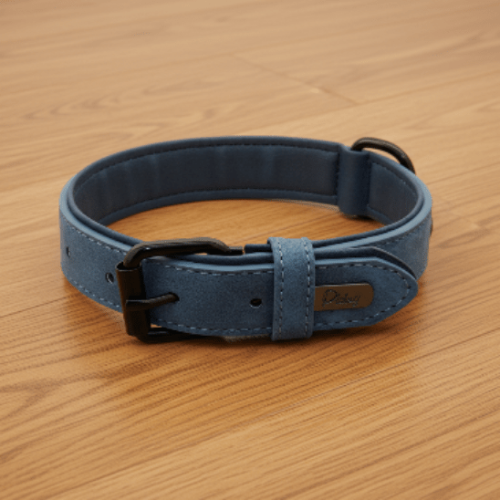Collier chien / Confort Velouté - Jamais sans mon chien
