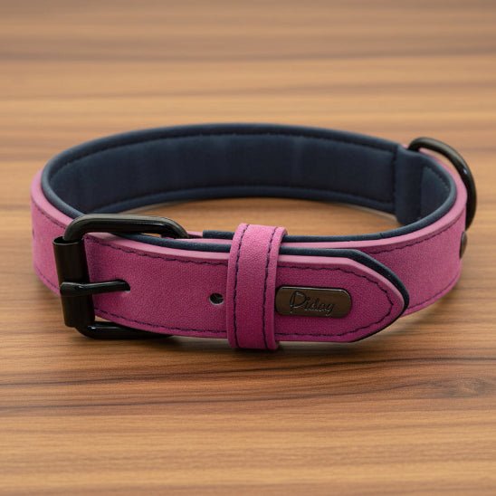 Collier chien / Confort Velouté - Jamais sans mon chien