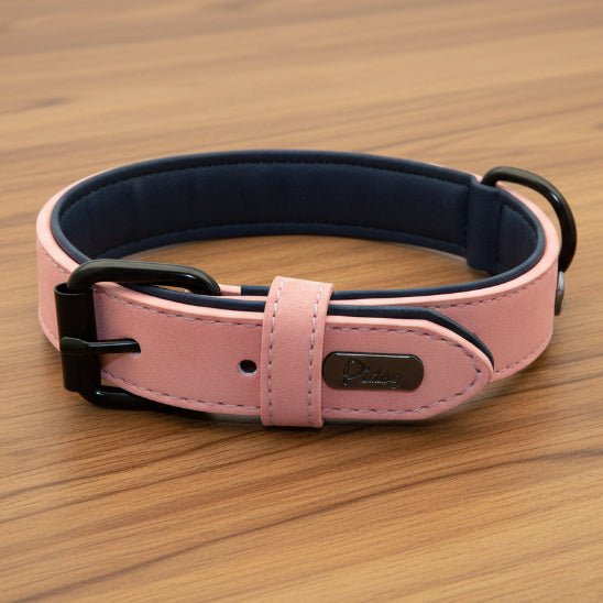 Collier chien / Confort Velouté - Jamais sans mon chien