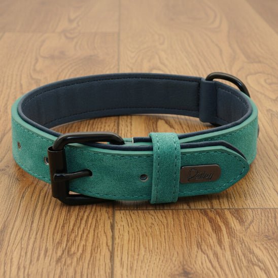 Collier chien / Confort Velouté - Jamais sans mon chien