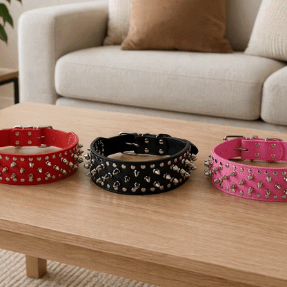 Collier Chien | Les Pointes au Cou - Jamais sans mon chien