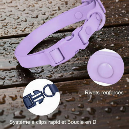 Collier chien | Aquarius - Jamais sans mon chien