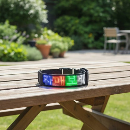 Collier lumineux chien | Message - Jamais sans mon chien