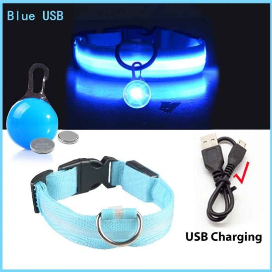 Collier lumineux pour chien | Saturne - Jamais sans mon chien