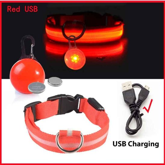 Collier lumineux pour chien | Saturne - Jamais sans mon chien