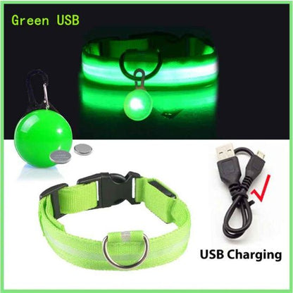 Collier lumineux pour chien | Saturne - Jamais sans mon chien