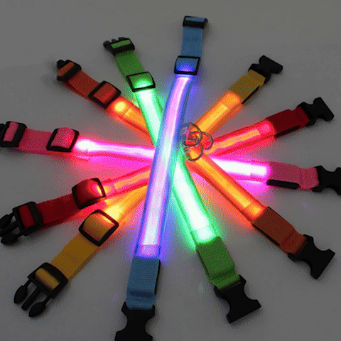 Collier lumineux pour Chien | Saturne