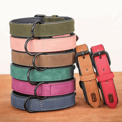 Collier chien | Confort Veloute-GIF