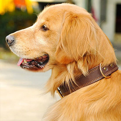 Collier chien | Cuir Véritable - Jamais sans mon chien
