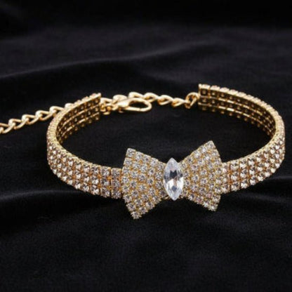Collier chien | The Great Gatsby - Jamais sans mon chien