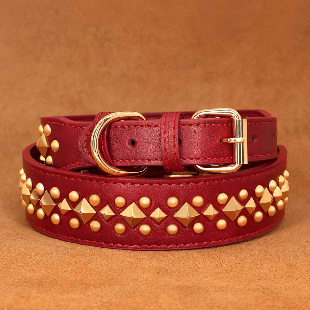 Collier chien | Studs - Jamais sans mon chien