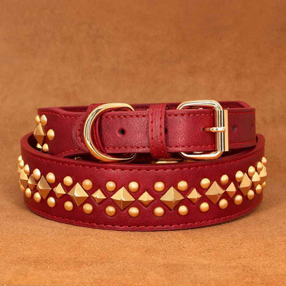 Collier chien | Studs - Jamais sans mon chien