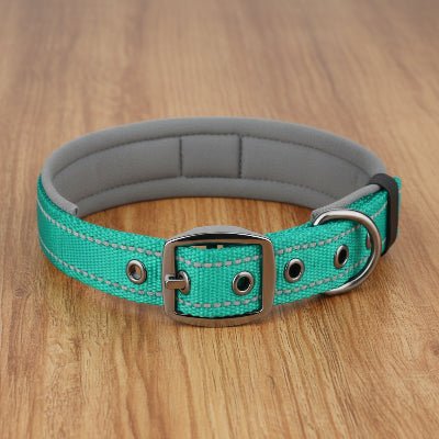 Collier pour Chien | Robuste & Confortable - Jamais sans mon chien