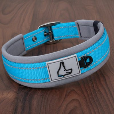 Collier pour Chien | Robuste & Confortable - Jamais sans mon chien