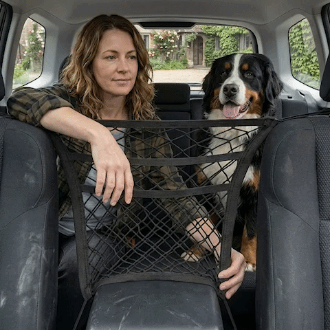Filet chien voiture | Securité et Rangement