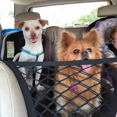 Filet voiture chien | L’Entre-Deux-Deux petits chiens siège arrière