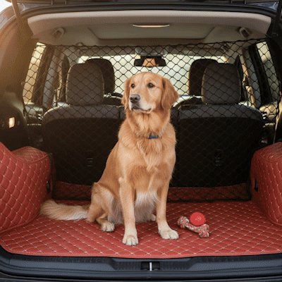 Filet voiture chien | SecuriDrive