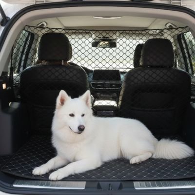 Filet voiture chien | SecuriDrive- Samoyede