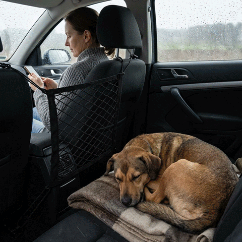 Filet voiture chien | L’Entre-Deux