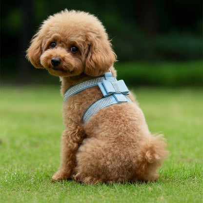Harnais Chien | Bijou pour Toutou - Jamais sans mon chien
