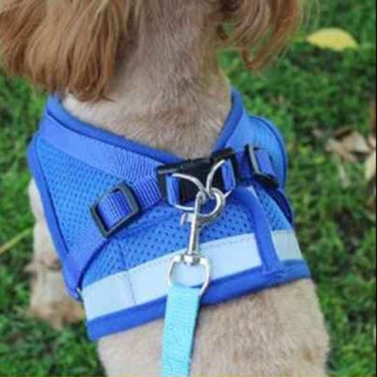 Harnais chien | Le Gilet Confort - Jamais sans mon chien