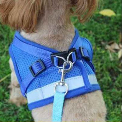 Harnais chien | Le Gilet Confort - Jamais sans mon chien