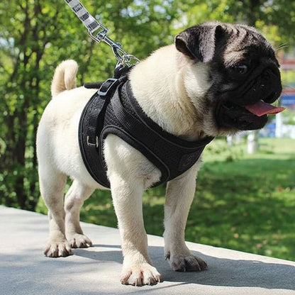 Harnais chien | Le Gilet Confort - Jamais sans mon chien