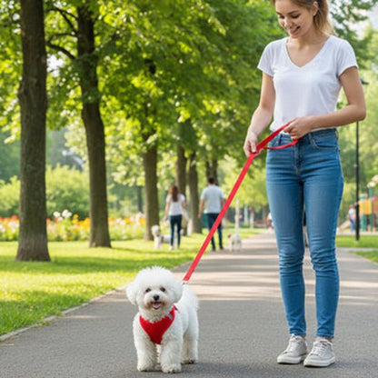 Harnais chien | Mon Petit Chien - Jamais sans mon chien