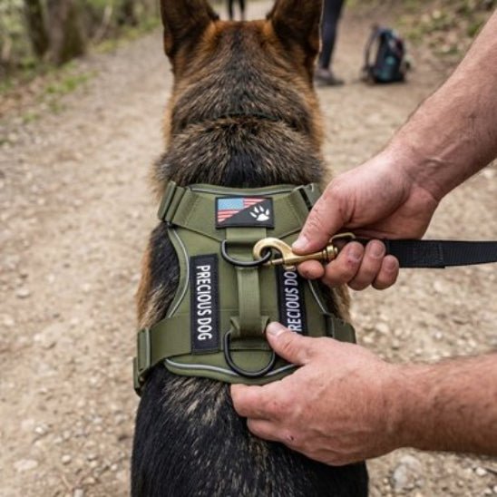 Harnais chien | Chien Tactique - Jamais sans mon chien