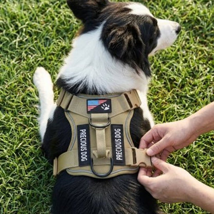 Harnais chien | Chien Tactique - Jamais sans mon chien