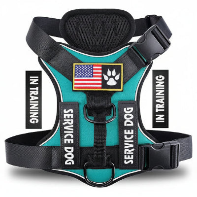 Harnais Chien | Service Dog-couleur VERT