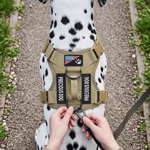 Harnais chien | Chien Tactique - Jamais sans mon chien