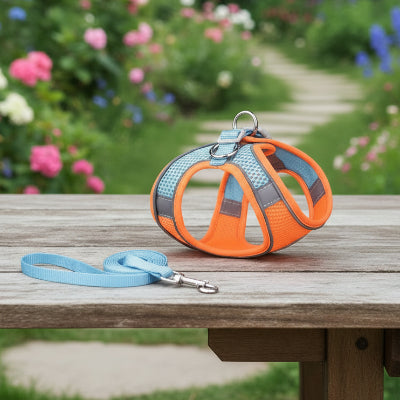 Harnais Chiot | Puppynette_couleur ORANGE et BLEU